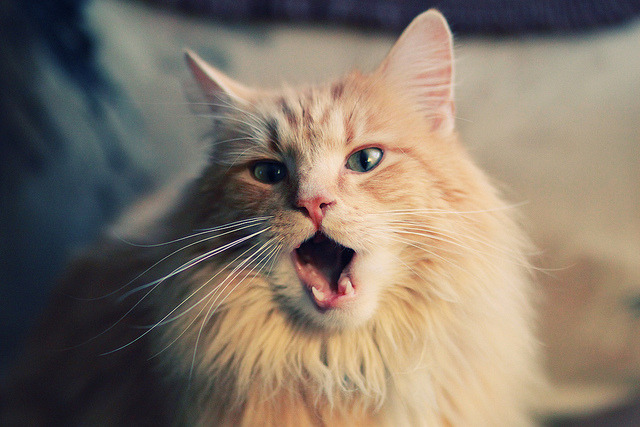 万博体育合作推动中国青少年篮球产业链升级