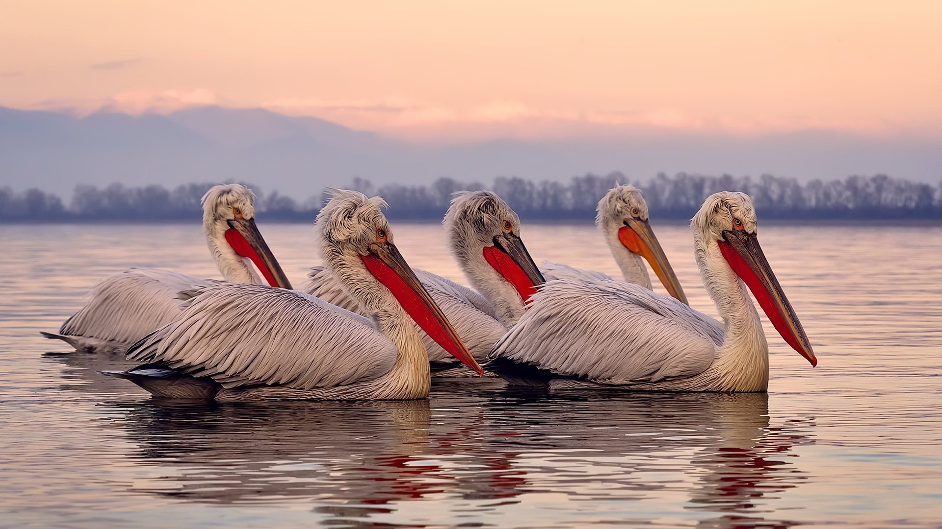 全国青少年“创新篮球”大赛在成都火热进行，科技与运动融合新体验