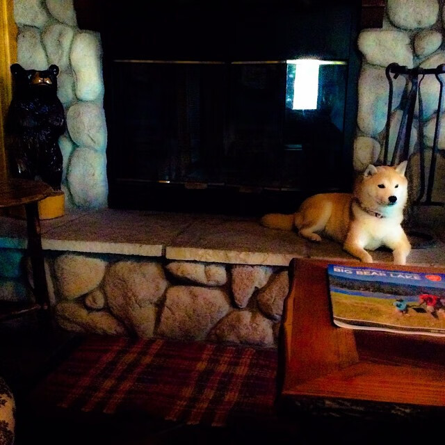 全国青少年“创新篮球”大赛在成都火热进行，科技与运动融合新体验