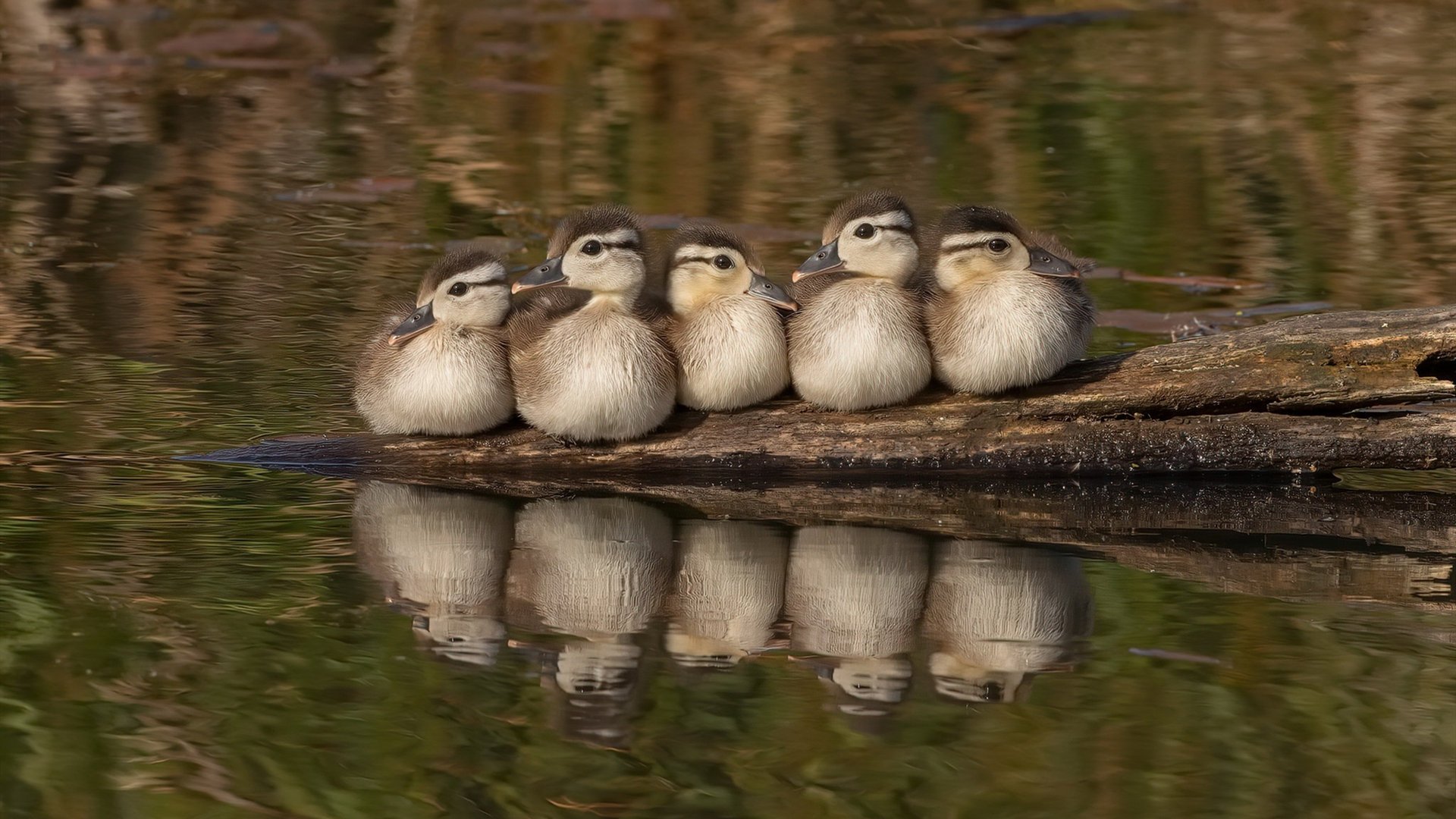 创新悬挂系统：提升操控稳定性，悬挂产品